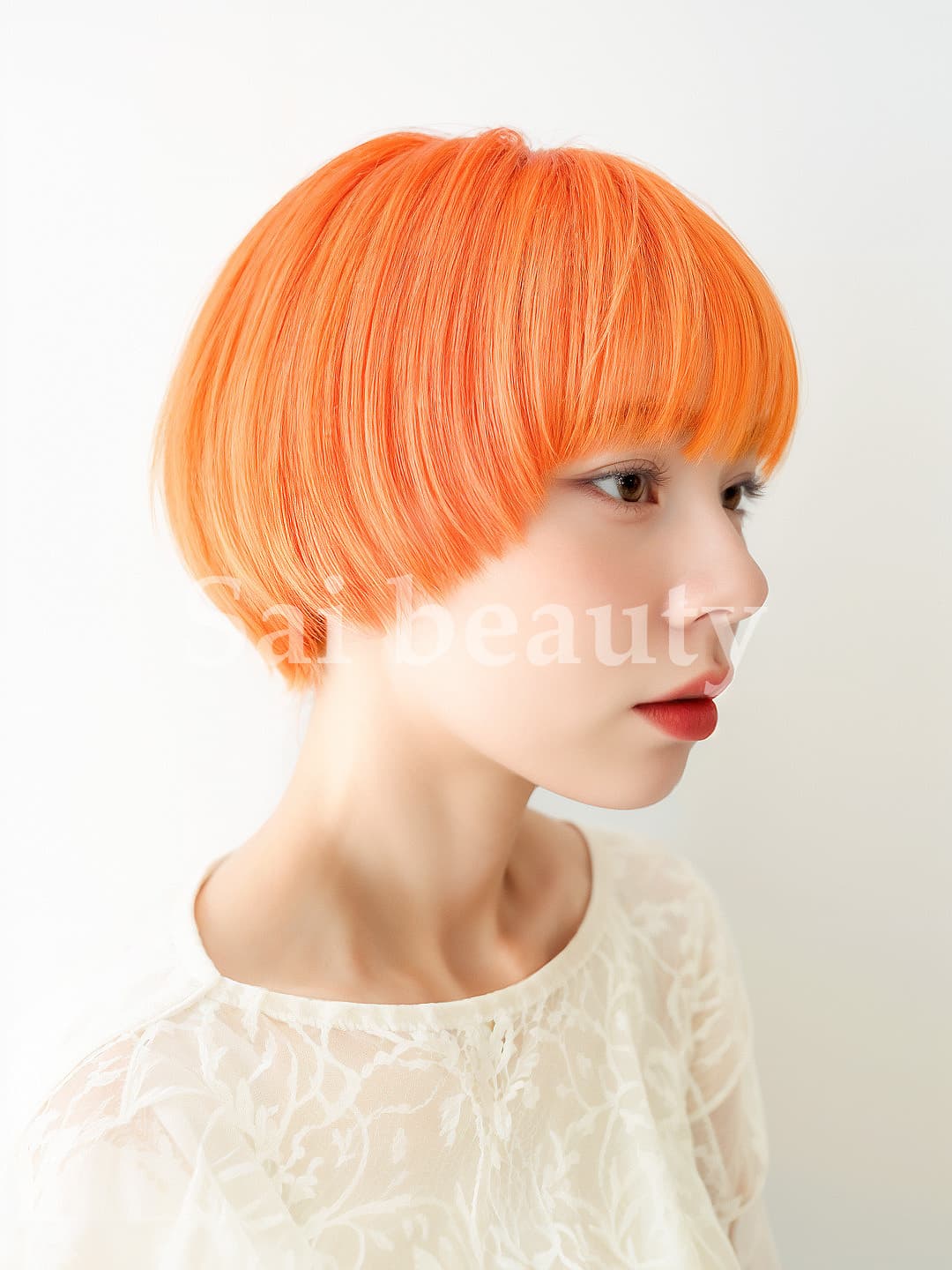 スタイル写真 66068